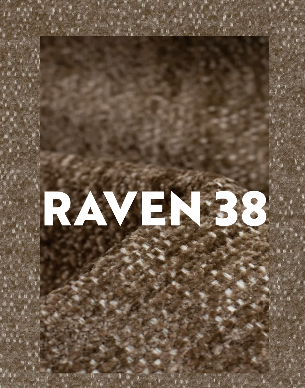 Raven 38