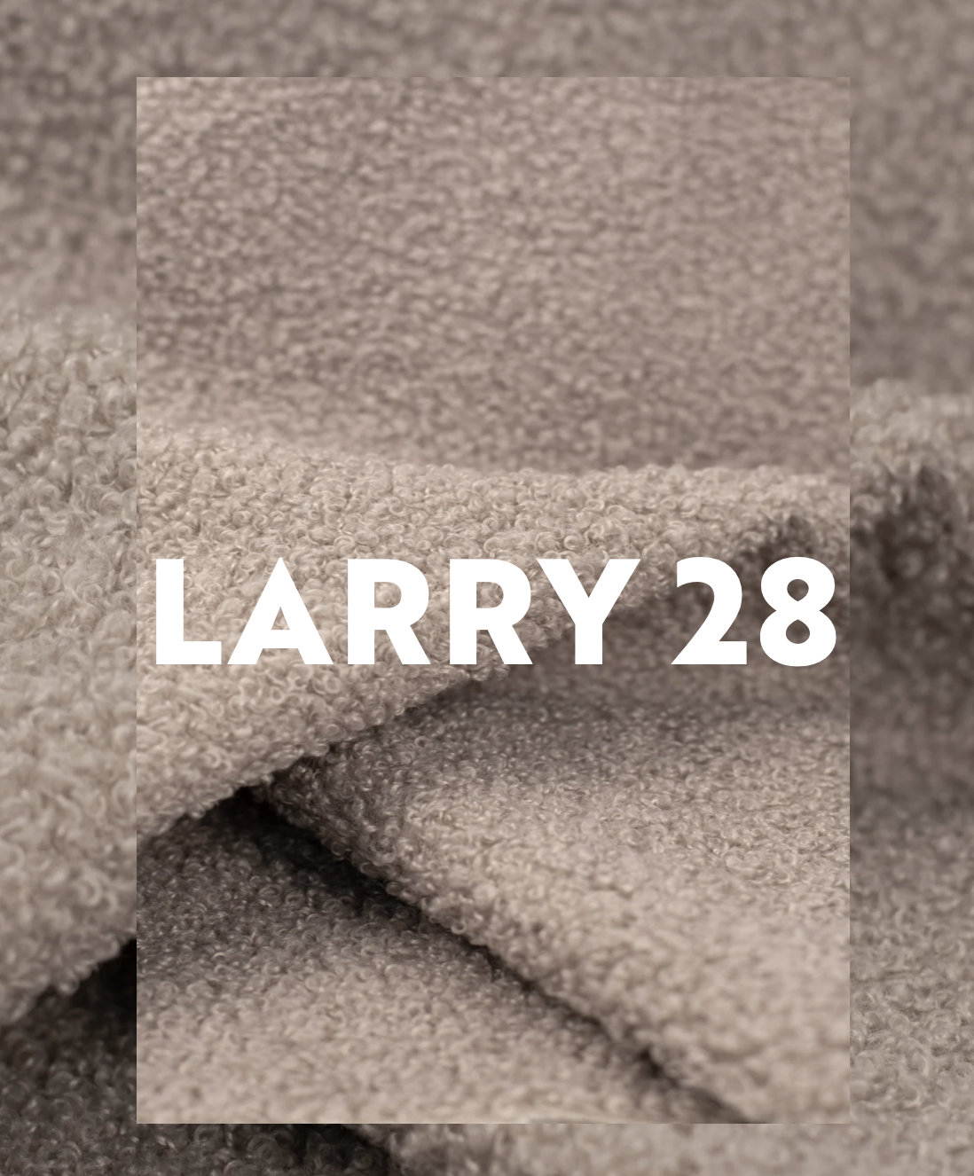 Larry 28